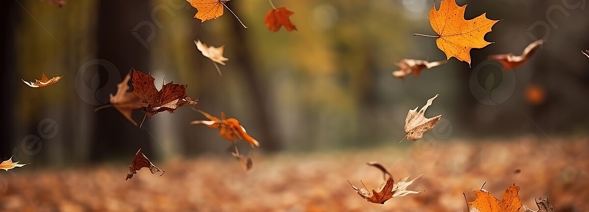 Winteronderhoud 2023